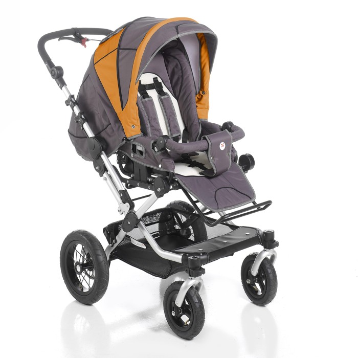 Hauck_Bellano_Kombikinderwagen_taube_orange